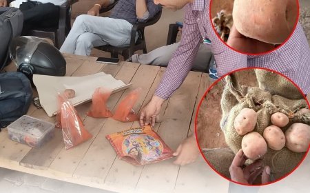 कानपुर: आलू को सीमेंट के रंग से 'लाल' करने का भंडाफोड़, 50 कुंतल माल बरामद