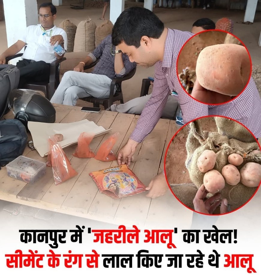 कानपुर: आलू को सीमेंट के रंग से 'लाल' करने का भंडाफोड़, 50 कुंतल माल बरामद